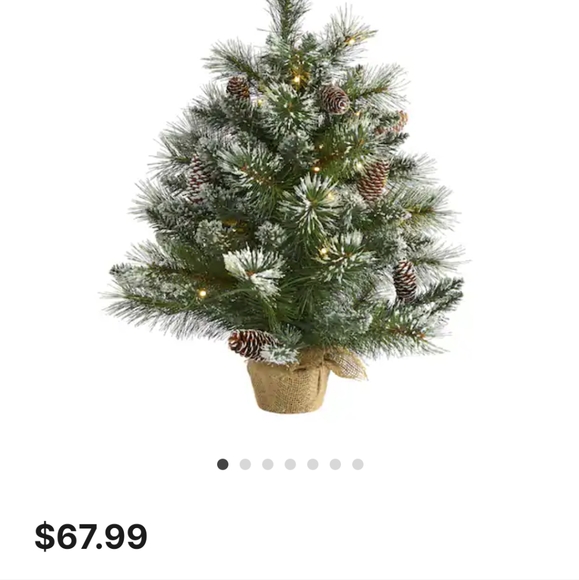 2ft. Pre-Lit Frosted Pine Artificial Christmas Tree with Pinecones - Picture 2 of 9